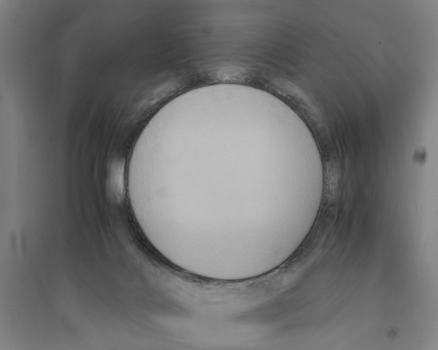 X0000094370028200711301459