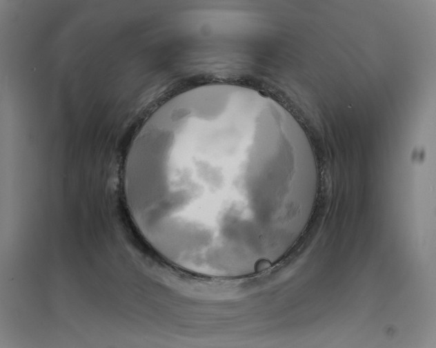 X0000094370032200711301459