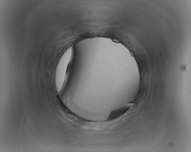 X0000094370033200711301459