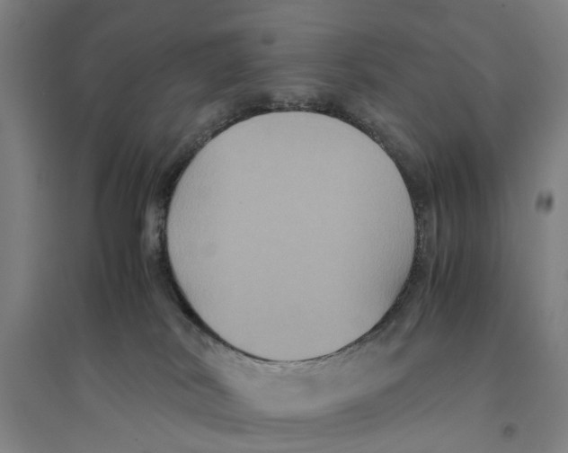 X0000094370038200711301459