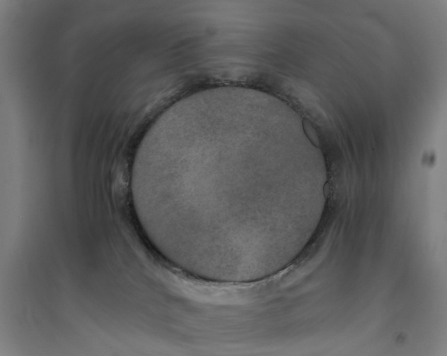 X0000094370040200711301459