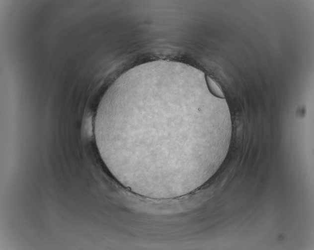 X0000094370042200711301459