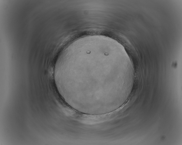 X0000094370045200711301459