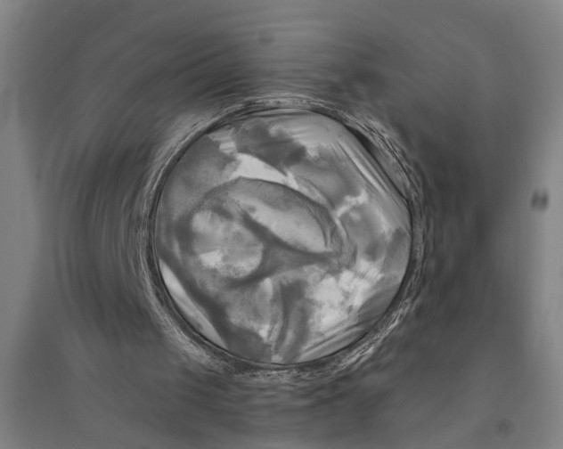 X0000094370049200711301458