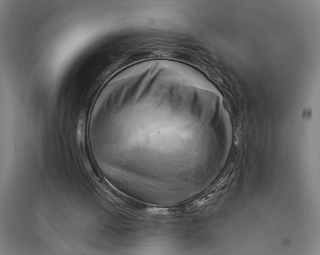 X0000094370052200711301458