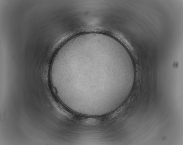 X0000094370058200711301458