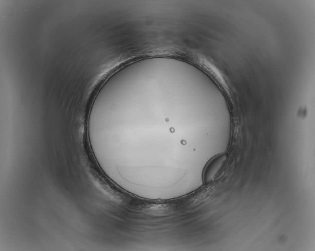 X0000094370059200711301458