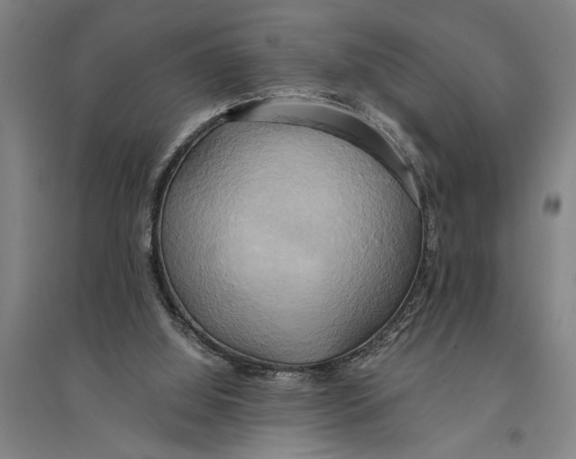 X0000094370060200711301458