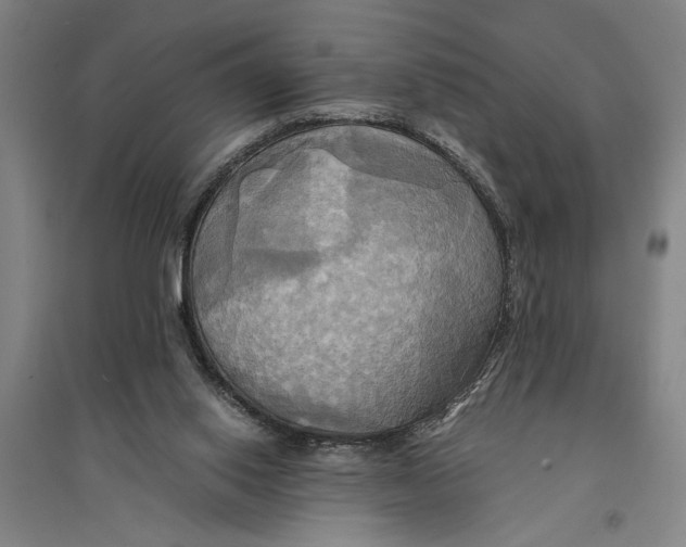 X0000094370062200711301458