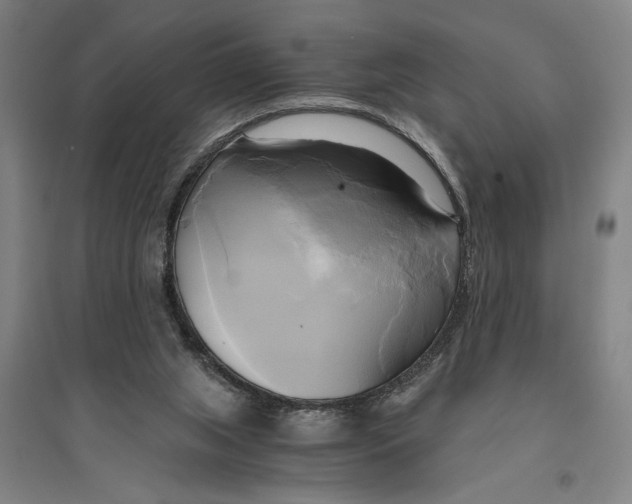 X0000094370063200711301458