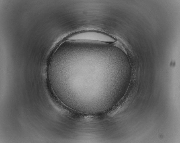 X0000094370064200711301458