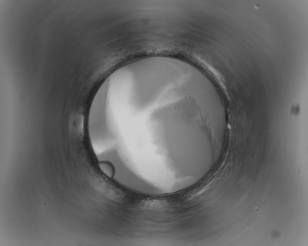 X0000094370067200711301458