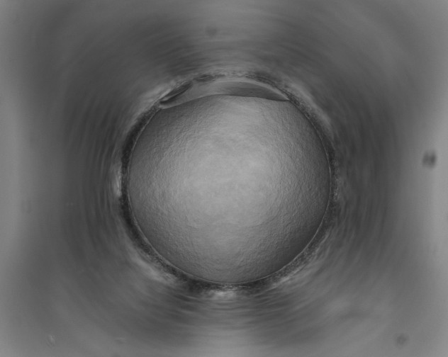 X0000094370068200711301458