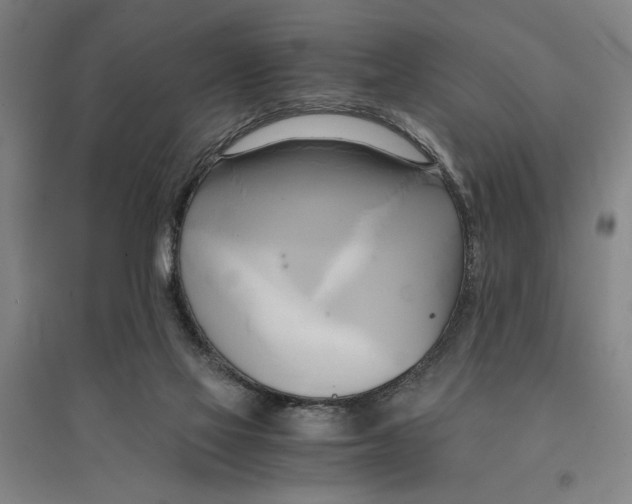 X0000094370069200711301458