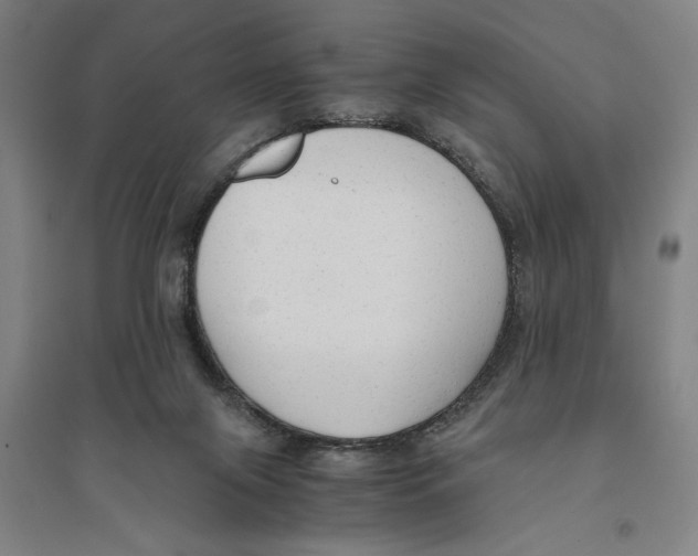 X0000094370071200711301458