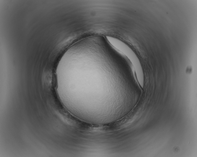 X0000094370072200711301458