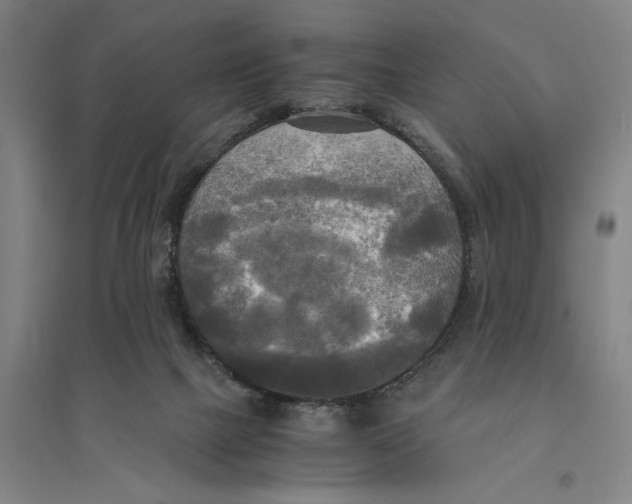 X0000094370073200711301458