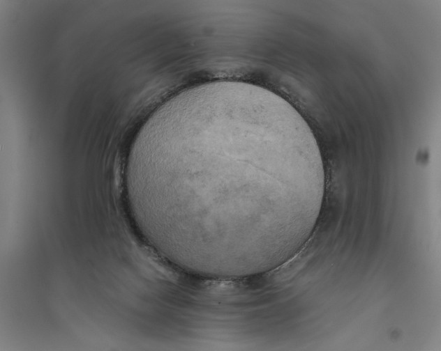 X0000094370074200711301458