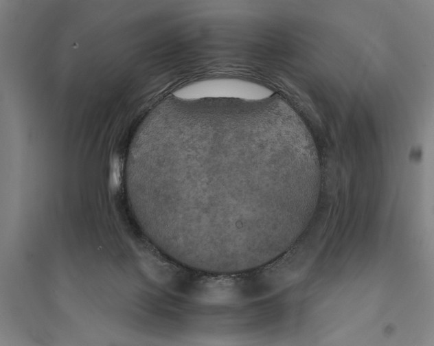 X0000094370075200711301458