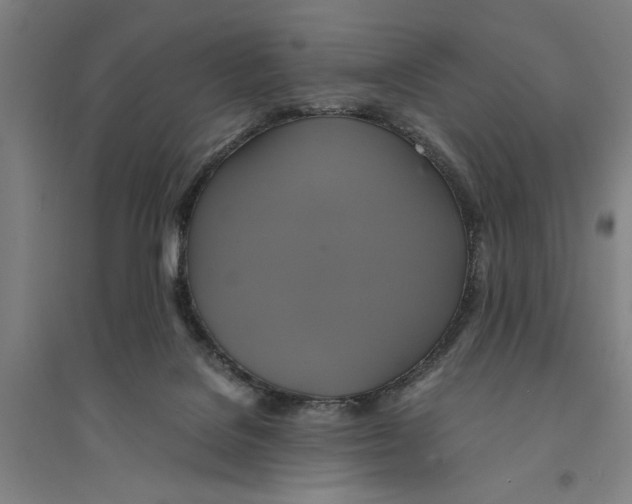 X0000094370076200711301459