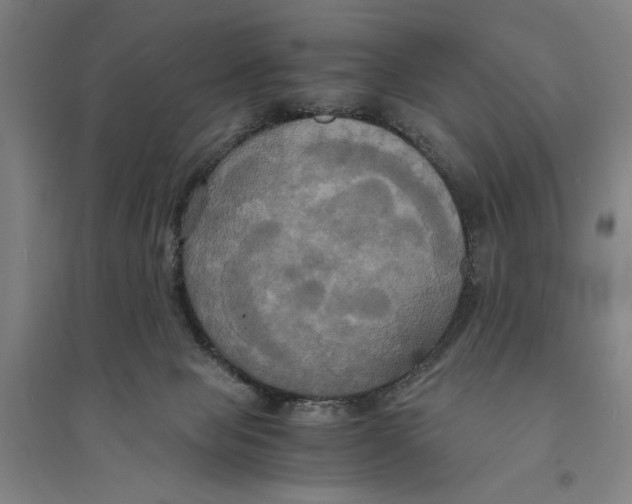 X0000094370077200711301459