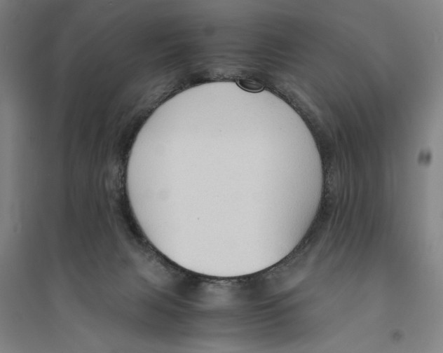 X0000094370079200711301459