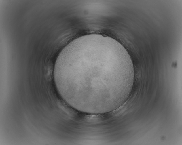 X0000094370082200711301459