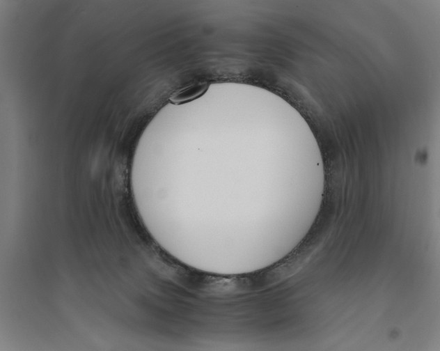 X0000094370083200711301459