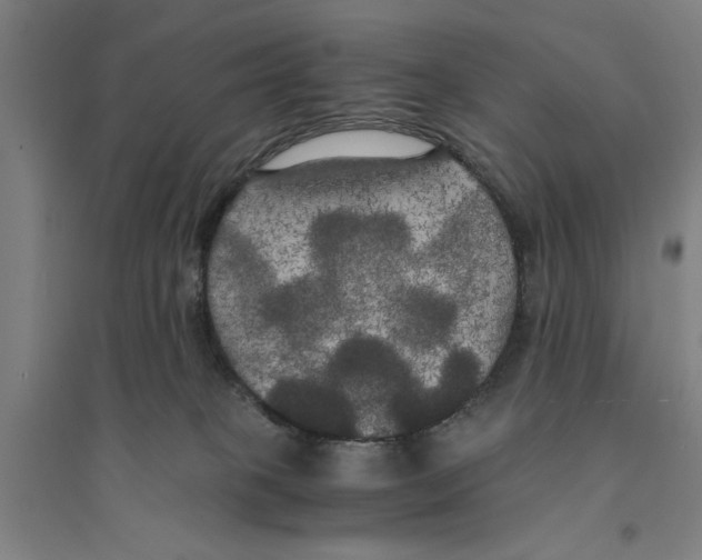 X0000094370085200711301459