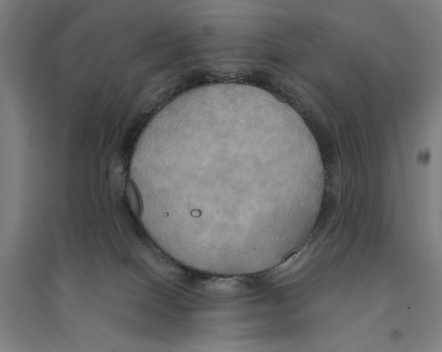 X0000094370086200711301459