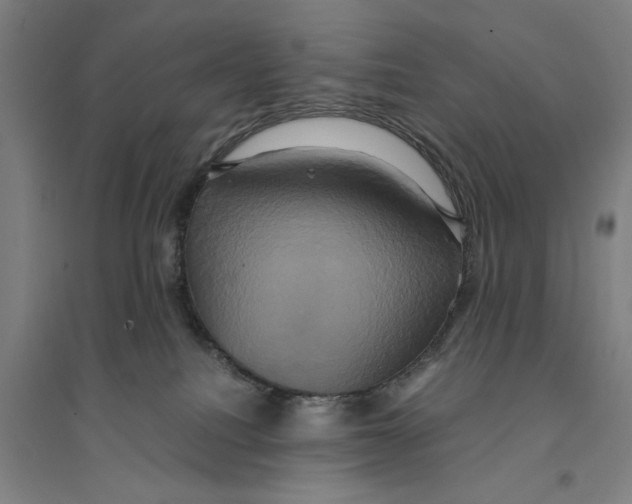 X0000094370088200711301459