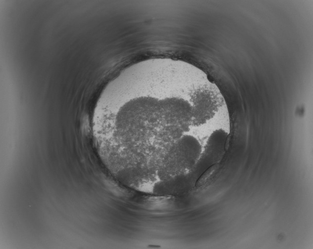 X0000094370089200711301459