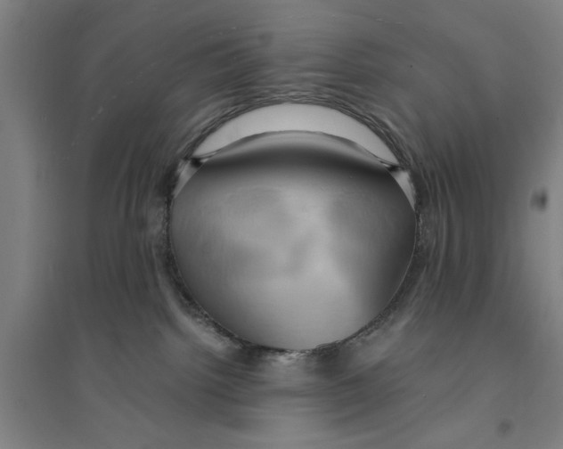 X0000094370092200711301459