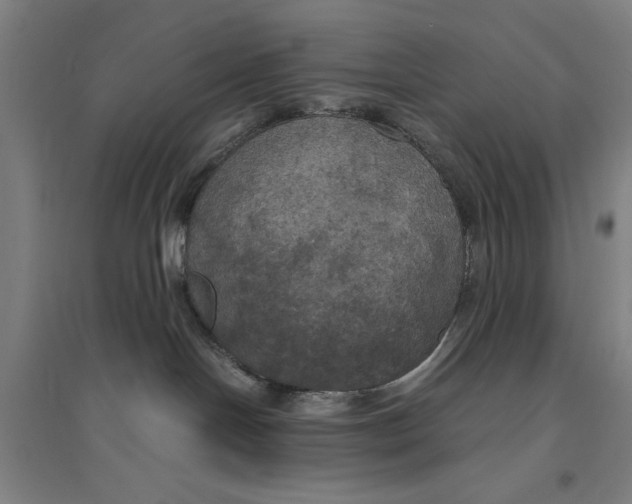 X0000094370094200711301459