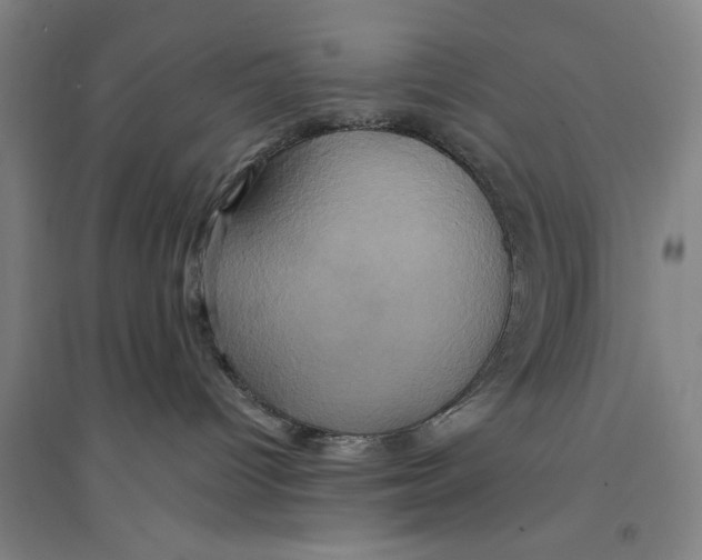 X0000094370096200711301459