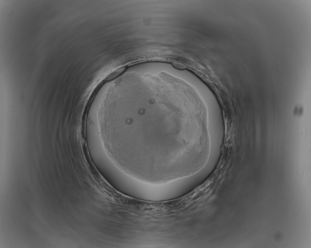 X0000094370099200711301458