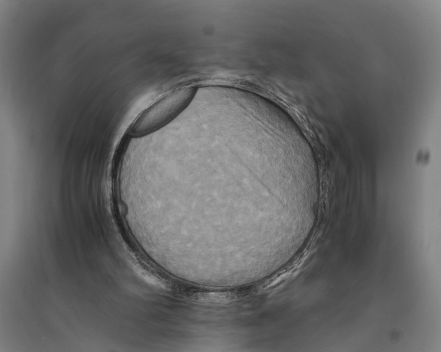 X0000094370102200711301458