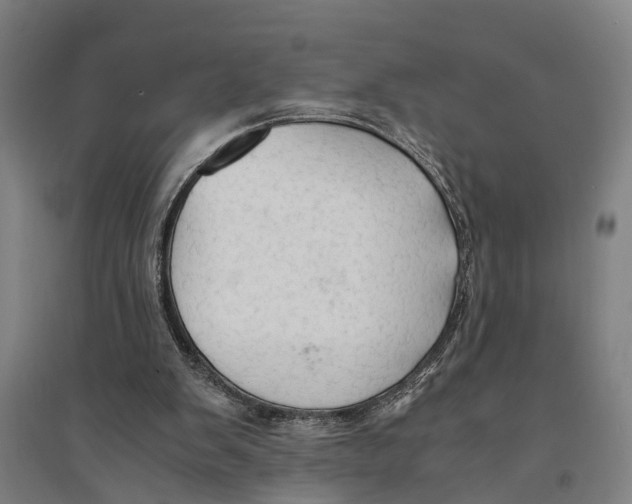 X0000094370103200711301458