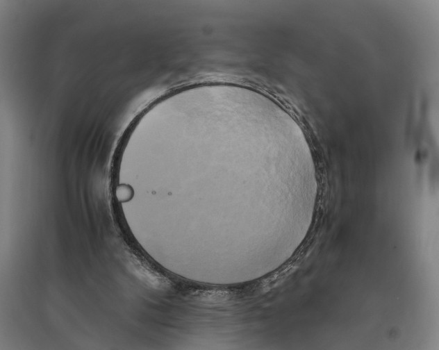 X0000094370104200711301458