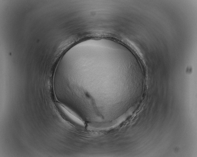 X0000094370105200711301458