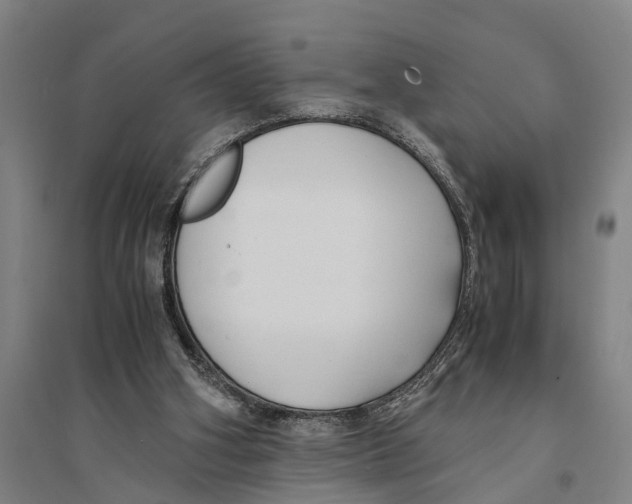 X0000094370106200711301458