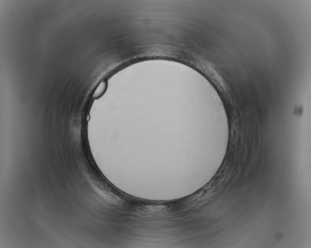 X0000094370108200711301458