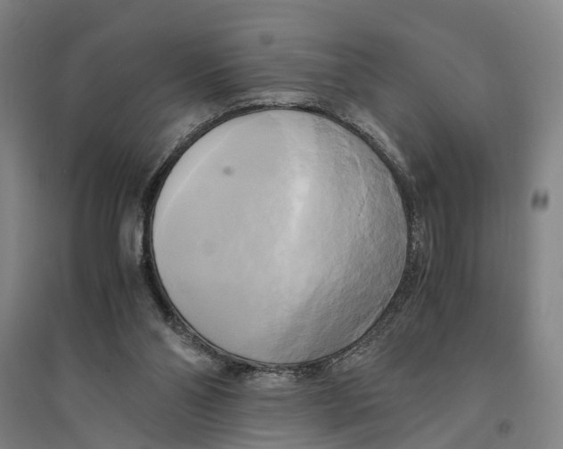 X0000094370110200711301458