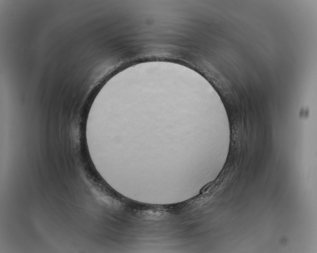 X0000094370112200711301458