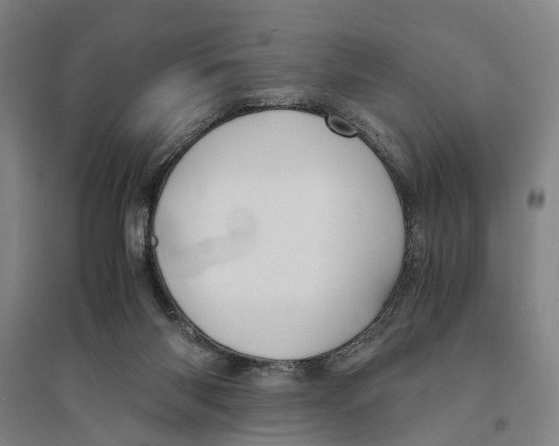 X0000094370118200711301458