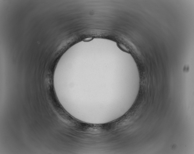 X0000094370119200711301458