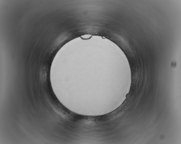 X0000094370120200711301458