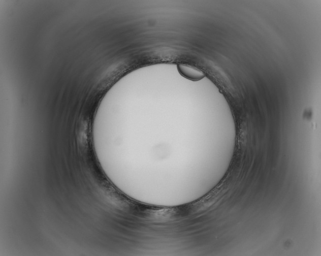 X0000094370122200711301458