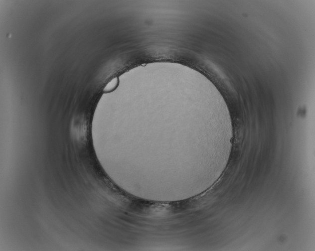 X0000094370124200711301458