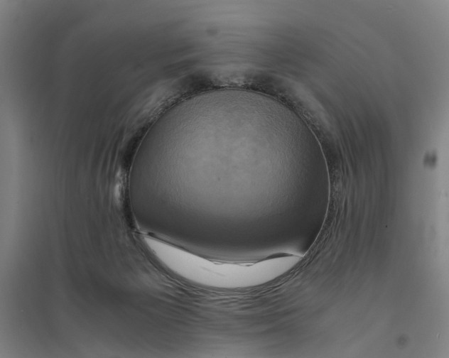 X0000094370125200711301458